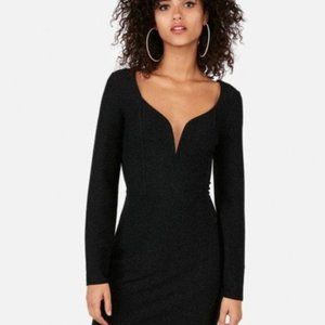 Express Glitter Dress